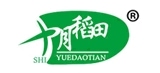 十月稻田